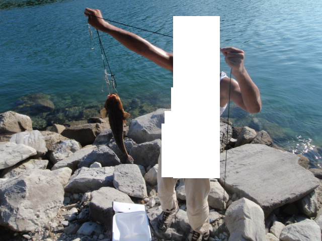 Untitled 1:Users:papa:Desktop:P8020048.png