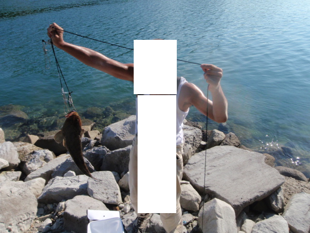 Untitled 1:Users:papa:Desktop:P802005065 2.png