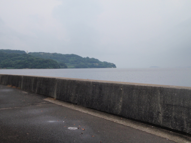 Untitled 1:Users:papa:Desktop:untitled folder:P9200020.JPG