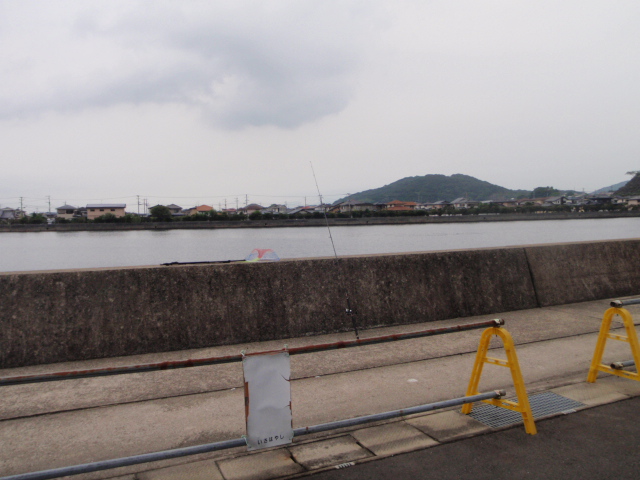 Untitled 1:Users:papa:Desktop:untitled folder:P9200037.JPG