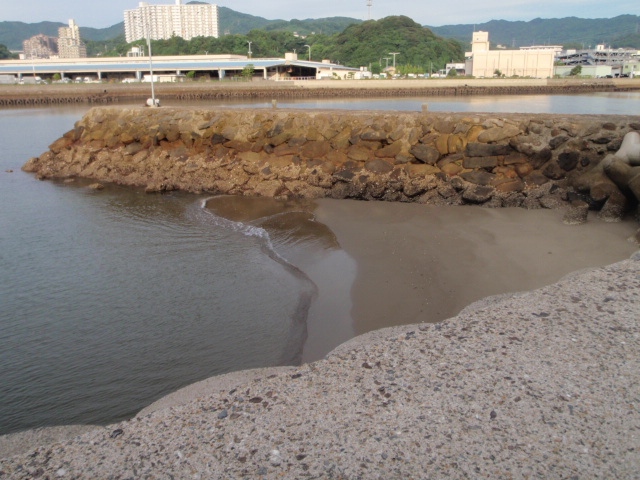 Untitled 1:Users:papa:Desktop:uned foer:P9130011.JPG