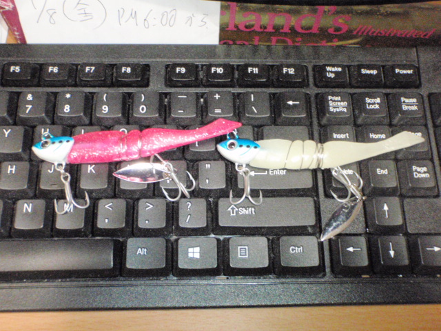 Untitled 1:Users:papa:Desktop:uned foer:P9120020.JPG