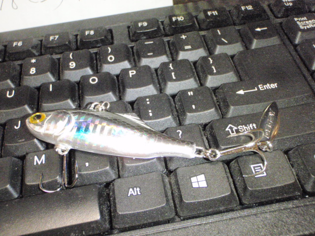 Untitled 1:Users:papa:Desktop:写真:P9120003.JPG