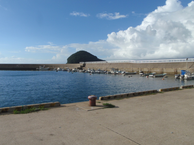 Untitled 1:Users:papa:Desktop:untitled folder 6:P8250010.JPG