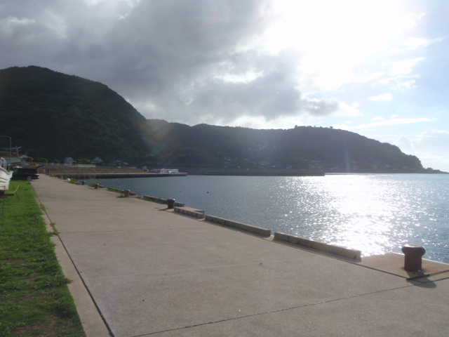 Untitled 1:Users:papa:Desktop:untitled folder 6:P8250011.JPG