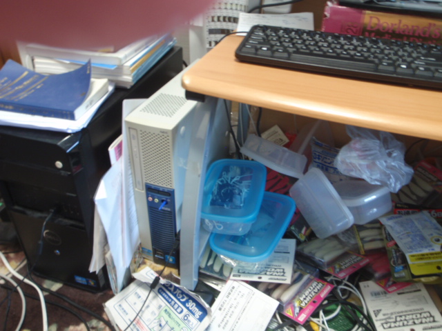 Untitled 1:Users:papa:Desktop:untd folder:P8240012.JPG