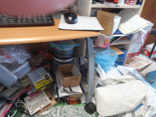 Untitled 1:Users:papa:Desktop:untd folder:P8240007.JPG