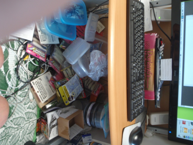 Untitled 1:Users:papa:Desktop:untd folder:P8240004.JPG