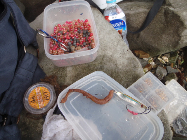 Untitled 1:Users:papa:Desktop:Ext887:P8090007.JPG