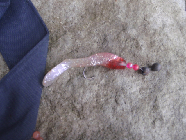Untitled 1:Users:papa:Desktop:Ext887:P8090021.JPG