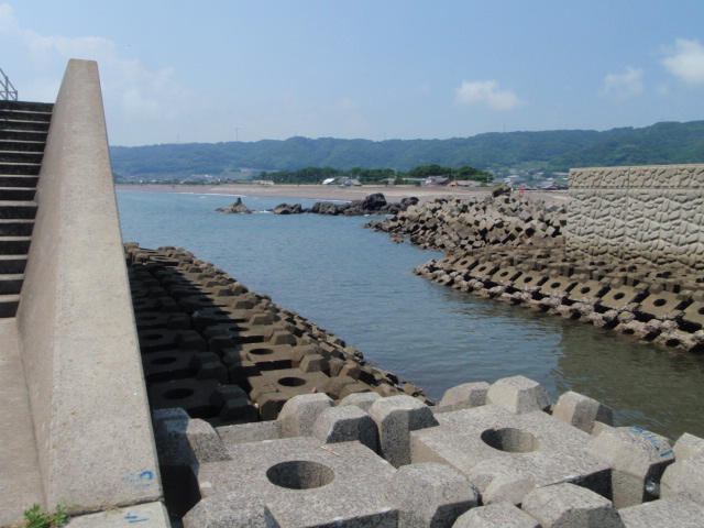 Untitled 1:Users:papa:Desktop:untitled folder:P7210001.JPG