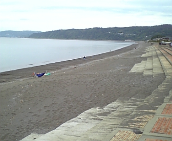 untitled 1:Users:papa:Desktop:080810_082206.jpg