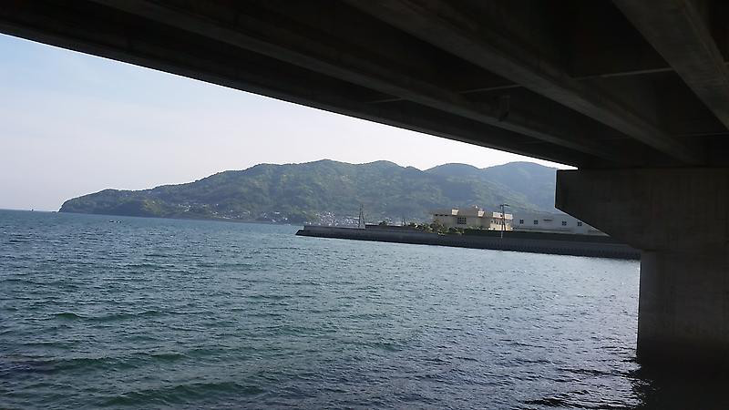 untitled 1:Users:papa:Desktop:o0800045013633891603.jpg