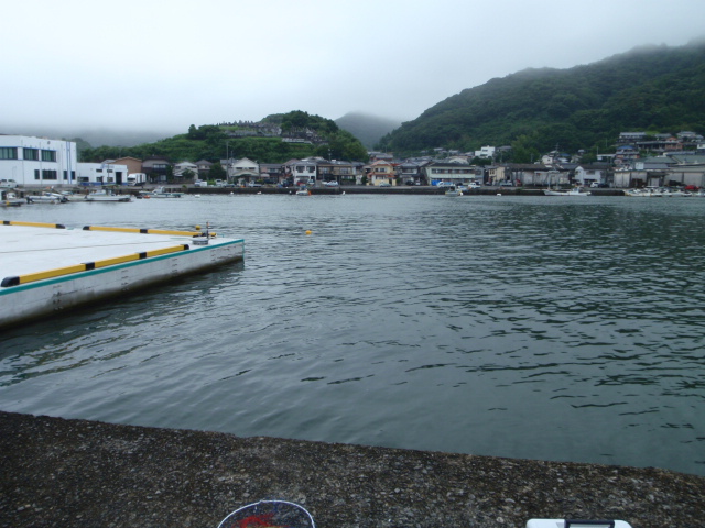 Description: Untitled 1:Users:papa:Desktop:untitled folder:P7120001.JPG