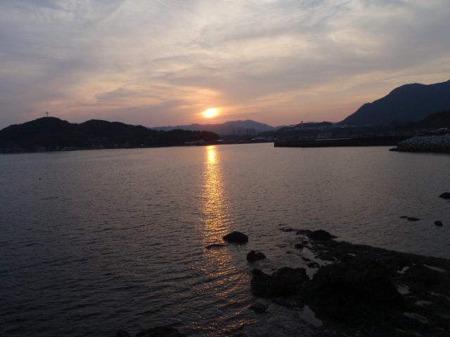 Description: Untitled 1:Users:papa:Desktop:ud folder:P6160021.JPG