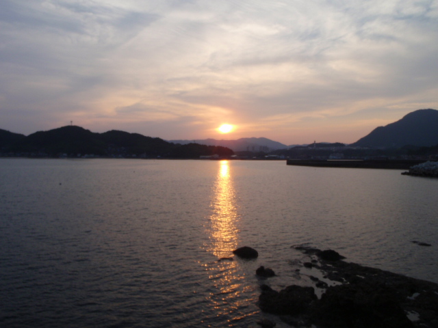 Description: Untitled 1:Users:papa:Desktop:ud folder:P6160016.JPG