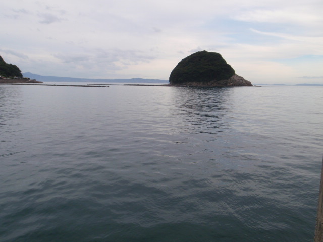 10.13.61:Users:papa:Desktop:untitled folder:P8095487.JPG