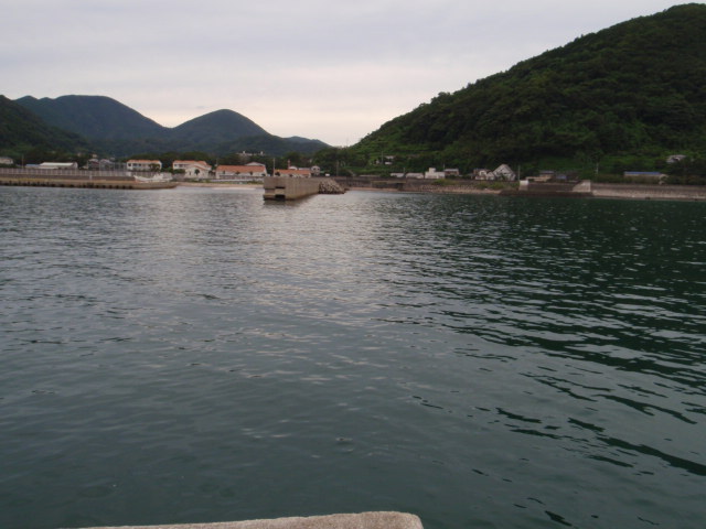 10.13.61:Users:papa:Desktop:untitled folder:P8095488.JPG