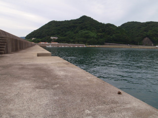 10.13.61:Users:papa:Desktop:untitled folder:P8095489.JPG