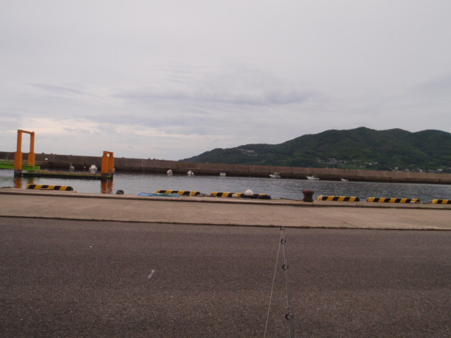 10.13.61:Users:papa:Desktop:untitled folder:P7195386.JPG