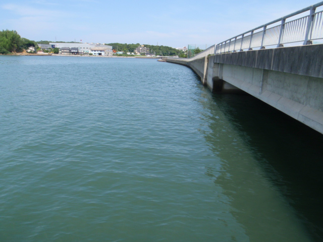 10.13.61:Users:papa:Desktop:untitled folder:P7045280.JPG