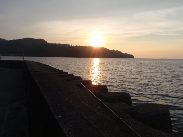10.13.61:Users:papa:Desktop:untitled folder:P7045281.JPG