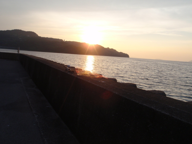 10.13.61:Users:papa:Desktop:untitled folder:P7045293.JPG