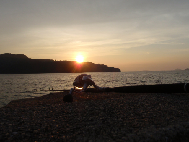 10.13.61:Users:papa:Desktop:untitled folder:P7045305.JPG
