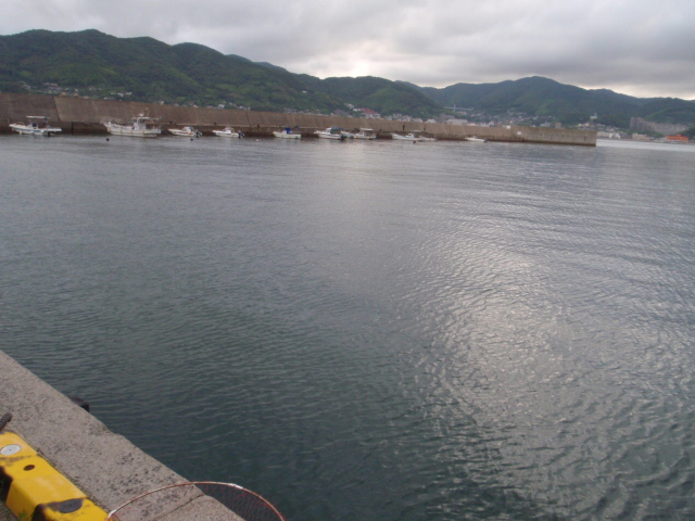 10.13.61:Users:papa:Desktop:untitled folder:P6275270.JPG