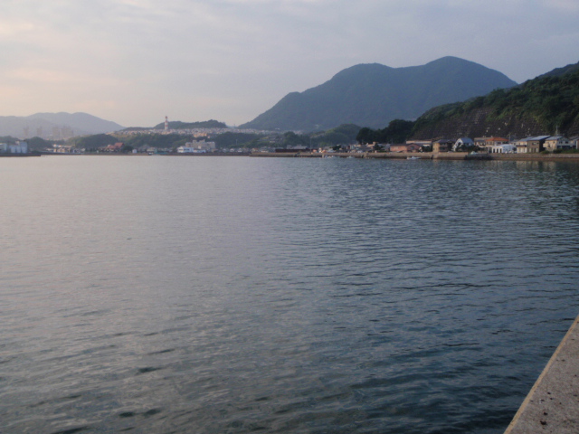 Description: Untitled 1:Users:papa:Desktop:untitled folder 3:PA110003.JPG