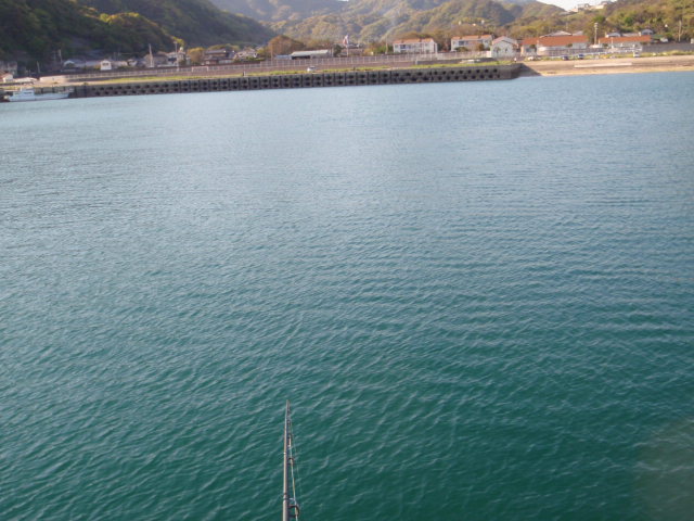 Untitled 1:Users:papa:Desktop:macOSDownload:P4245966.JPG