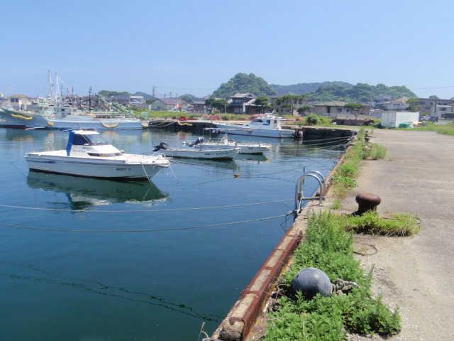 10.14.62:Users:papa:Desktop:untitled folder:P7296380.JPG