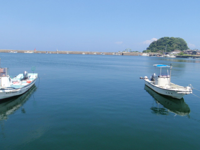 10.14.62:Users:papa:Desktop:untitled folder:P7296381.JPG
