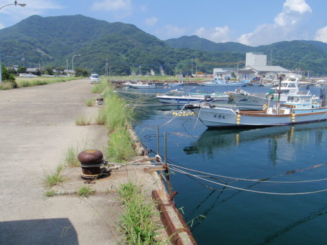10.14.62:Users:papa:Desktop:untitled folder:P7296382.JPG